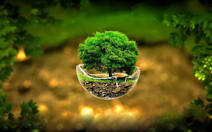 ảnh 3d