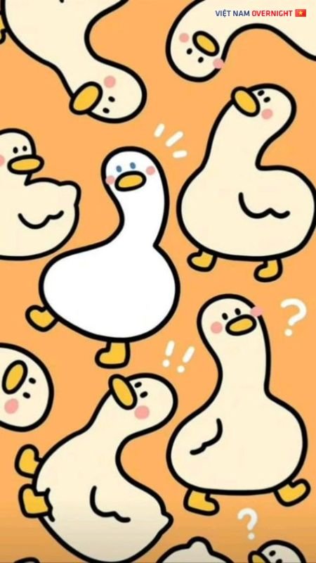 Ảnh vô tri (nguồn: sưu tầm)