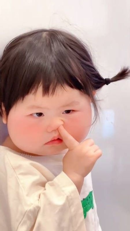 Ảnh vô tri (nguồn: sưu tầm)