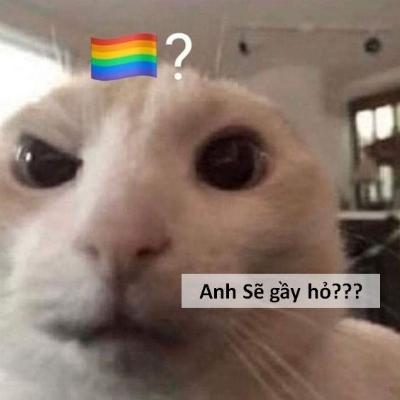 Full) Ảnh Sẽ gầy Meme hài hước trên MXH (update mới)