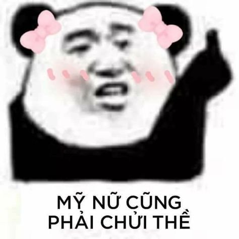 Hình ảnh meme gấu trúc bựa đầy màu sắc và hài hước