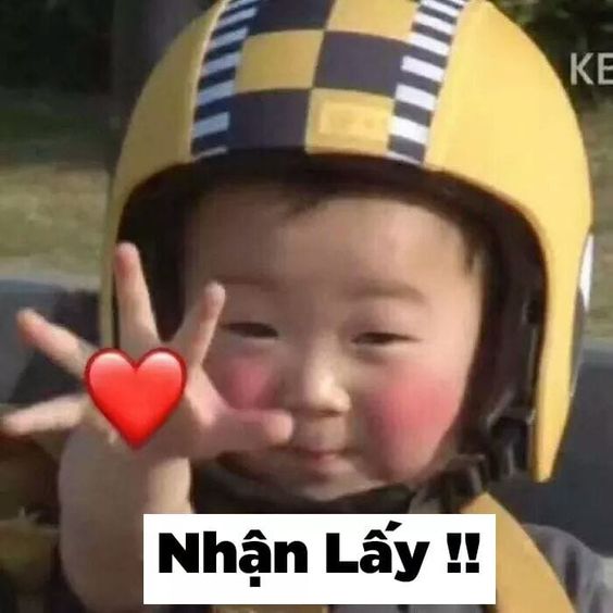 Ảnh meme gấu trúc ngại ngùng đỏ mặt hài hước